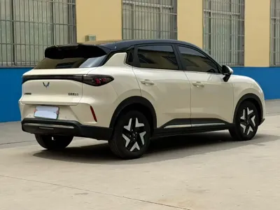 Wuling 缤果S