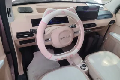 Geely Galaxy Panda