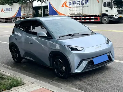 BYD Seagull