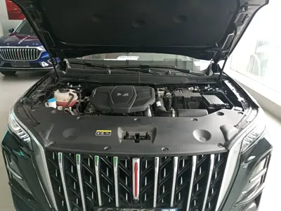 Hongqi Hongqi HS5