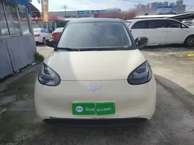 Wuling Bingo