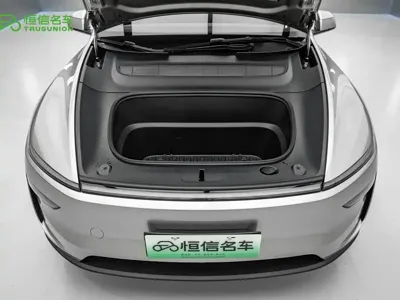 Tesla Model Y L