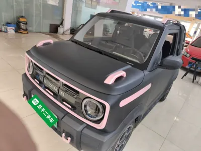 Geely Galaxy Panda