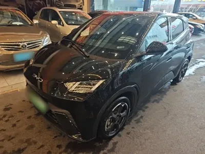 BYD Seagull