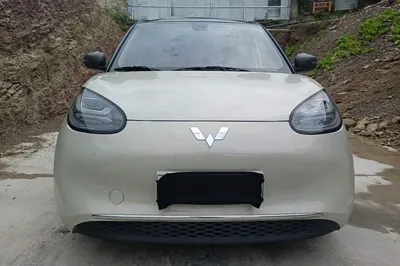 Wuling Bingo