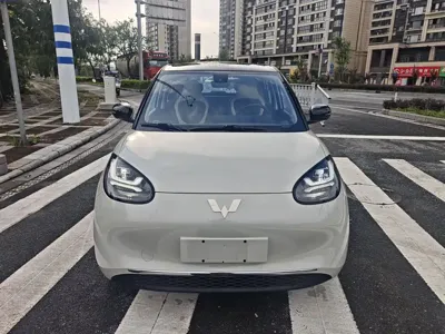 Wuling Bingo
