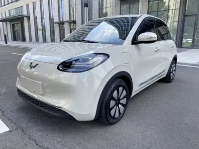 Wuling Bingo