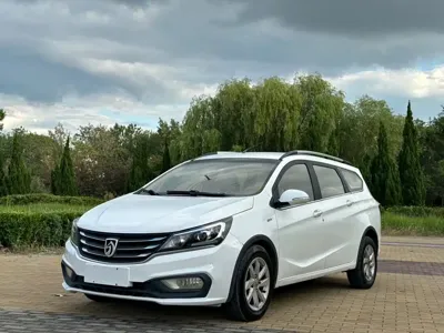 Baojun 310W