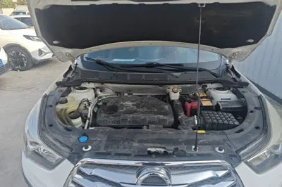 Haima S5