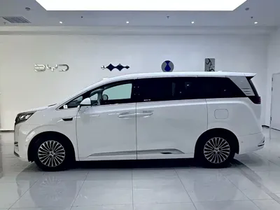 Denza Denza D9