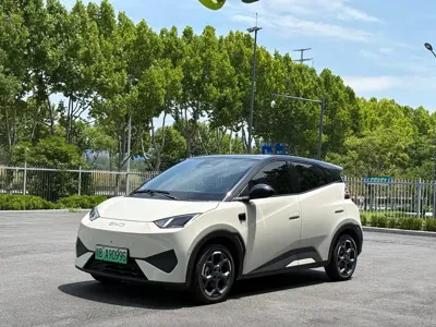 BYD Seagull