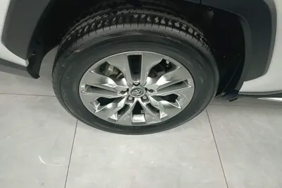 Toyota Wildlander