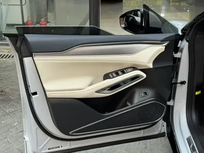 BYD L EV