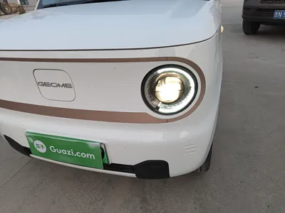 Geely Galaxy Panda