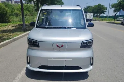 Wuling Zhiguang New Energy