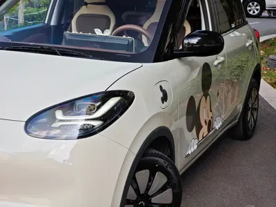 Wuling Bingo