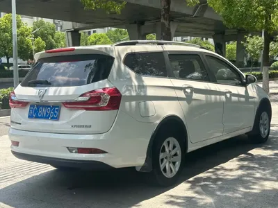 Baojun 310W