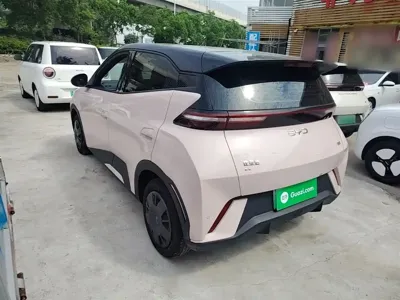 BYD Seagull