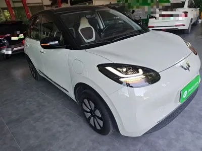 Wuling Bingo