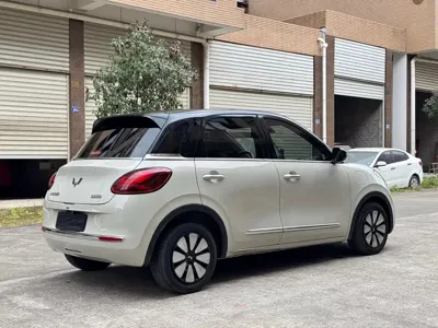 Wuling Bingo