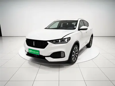 WEY Wey VV6