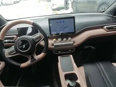 BYD Seagull