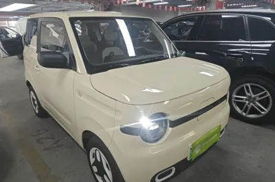 Geely Galaxy Panda