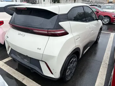 BYD Seagull