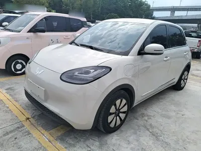 Wuling Bingo