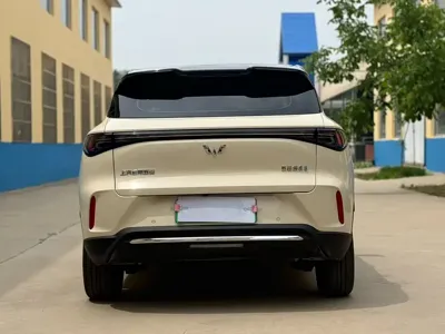 Wuling 缤果S