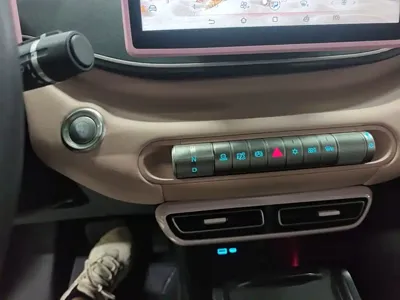 BYD Seagull