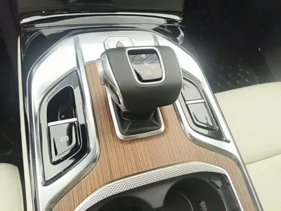 Hongqi Hongqi E-HS9