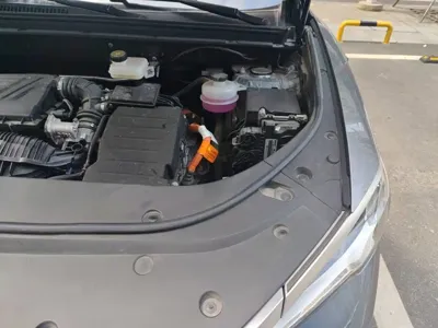 BYD Pro New Energy