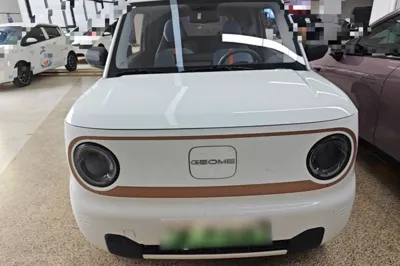 Geely Galaxy Panda