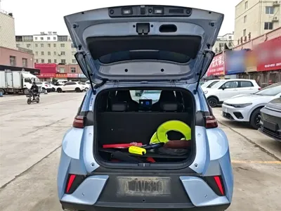 BYD Seagull