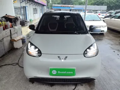 Wuling Bingo