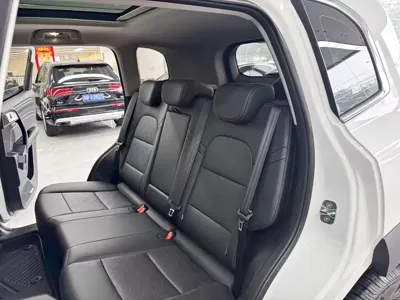 Haval Big Dog