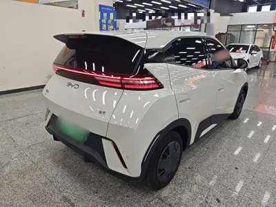 BYD Seagull