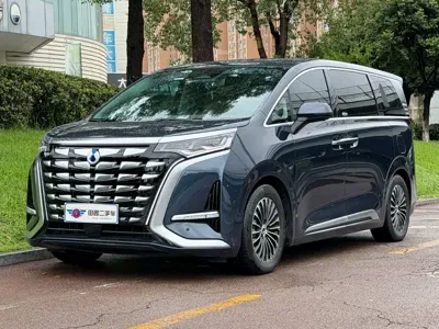 Denza Denza D9