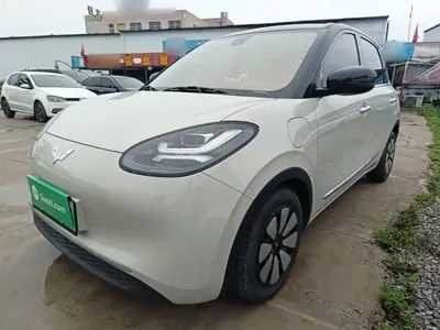 Wuling Bingo