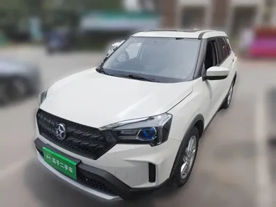Venucia T60