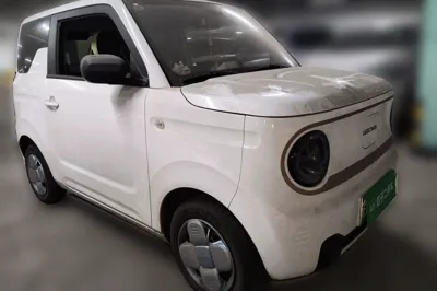 Geely Galaxy Panda