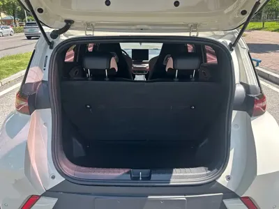 BYD Seagull