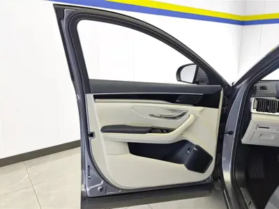 BYD PLUS New Energy