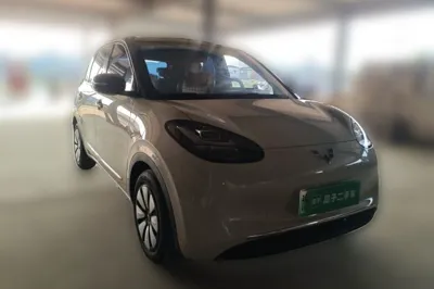 Wuling Bingo