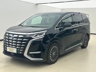Denza Denza D9