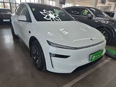 Tesla Model Y L