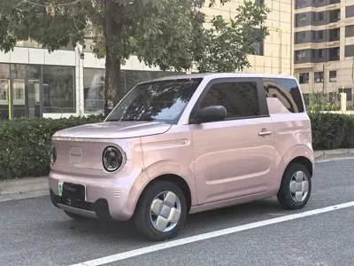 Galaxy Panda