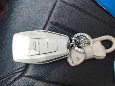 Geely Auto FX11