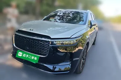 Li Auto ONE